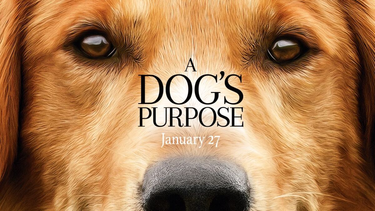 Controversy surrounds the making of the movie “A Dogs Purpose”