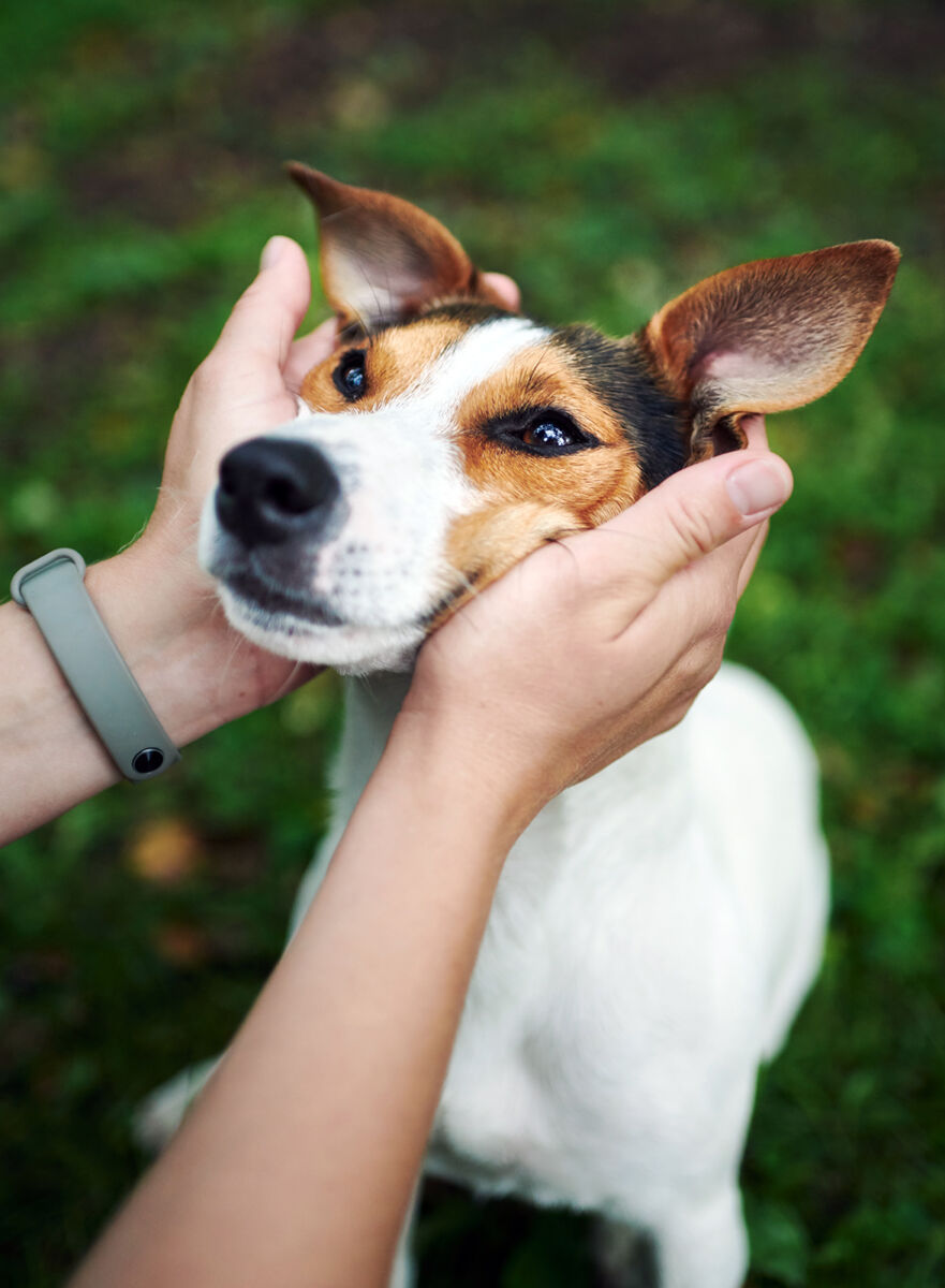 Man’s Best Friend