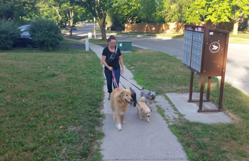 BuddyWalking.jpg