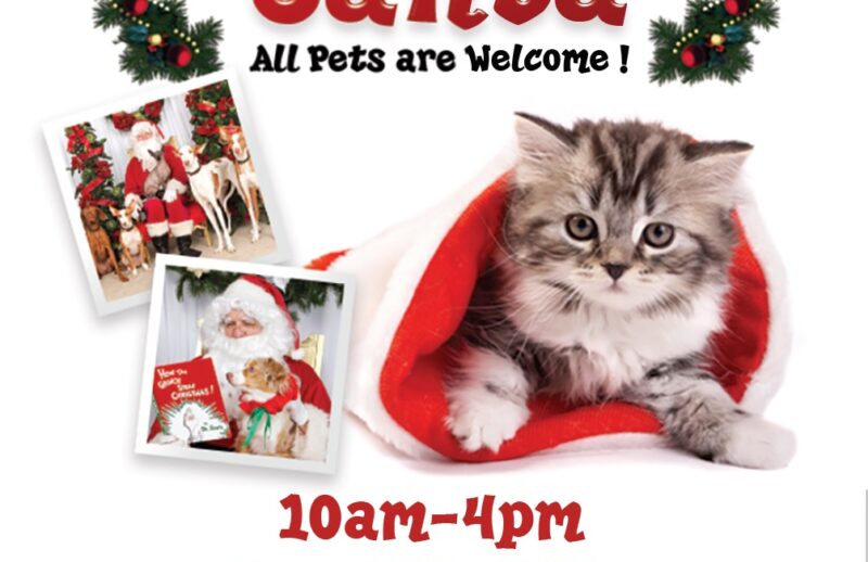 PetPics2016.jpg