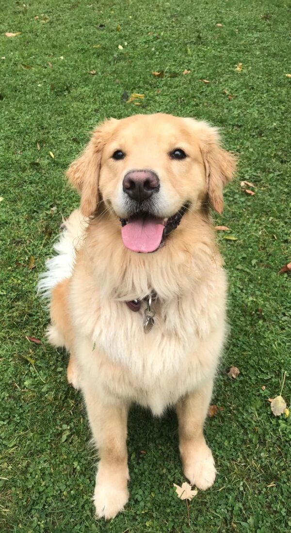 ellie oct2019.jpg ellie oct2019.jpg