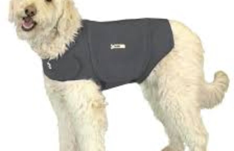 thundercoat.jpg