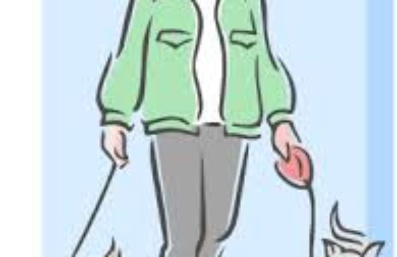walking two dogs.jpg